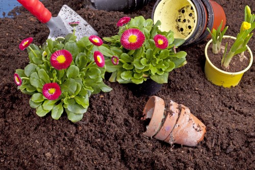 Garden clearance service transforming a backyard in Wanstead.