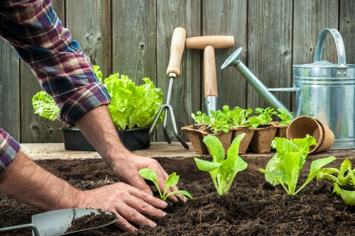 Professional gardeners designing a garden