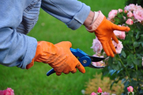 High-quality lawn care equipment