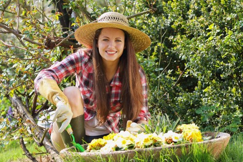 Professional lawn mowing in Wanstead