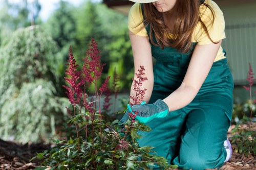 Selection of ideal hedge plants for Wanstead gardens