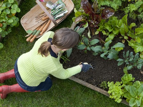 Eco-friendly hedge trimming practices in Wanstead