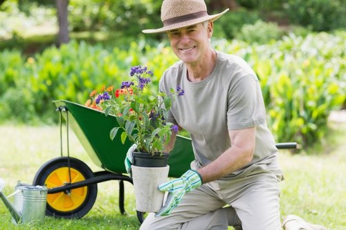 Seasonal lawn care in Wanstead
