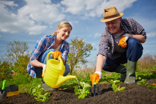 Seasonal hedge maintenance tips for a thriving garden