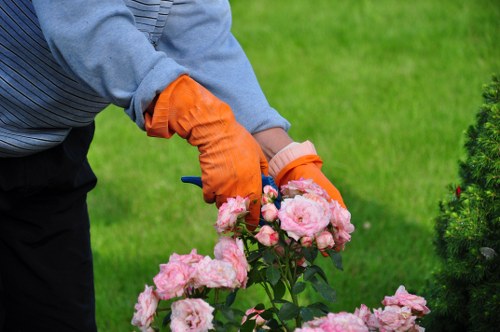 Healthy hedge being trimmed with professional tools