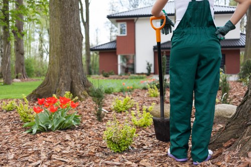 Gardener pruning shrubs in a lush Wanstead garden