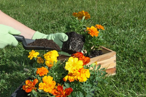 Expert deck design and installation services